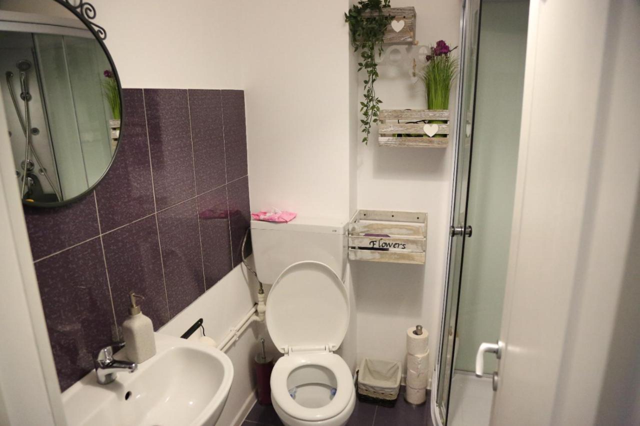 Croma Holiday Petrosani Apartman Kültér fotó